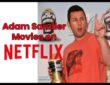 Adam Sandler Movies on Netflix